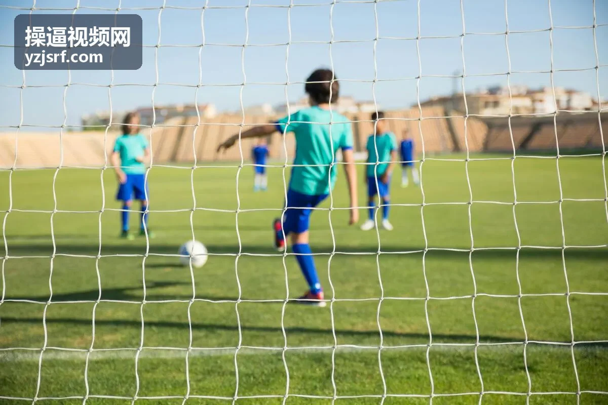 操逼视频网热度排行分类